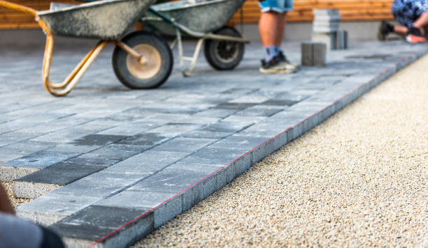 Best Driveway Paving Near Me  in Taft, TX