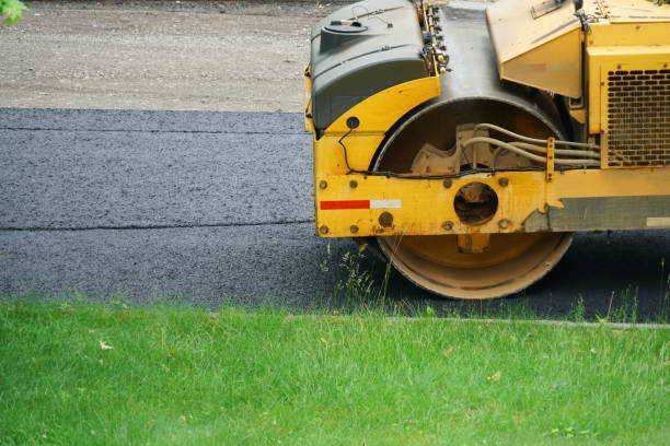 Best Residential Paver Driveway  in Taft, TX