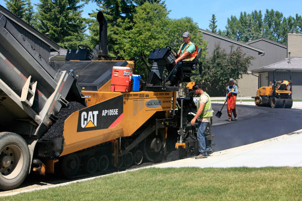 Best Driveway Paving Contractor  in Taft, TX